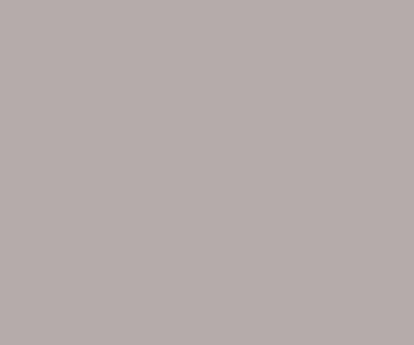 LASTOLITE 9026 2,72X11M. PAPER FLINT