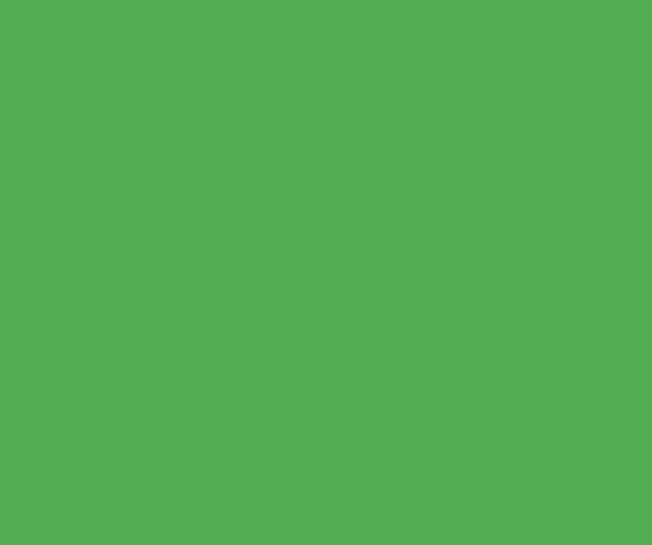 Lastolite 9073 2,72X11M. Paper Chromakey Green Karton Fon