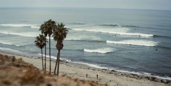 POLARPRO LIGHTLEAK 50mm - f11 - Sony E (LGHTLK-50-E)