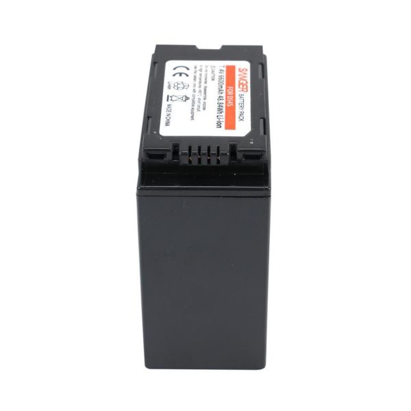 Sanger CGR-D54S Panasonic Kamera Batarya