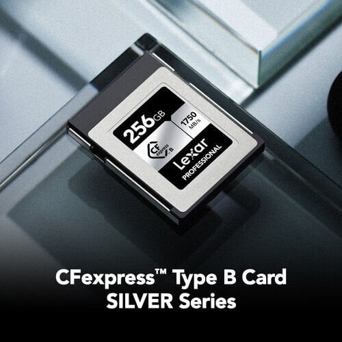 Lexar 256GB Professional SILVER Serisi CFexpress Type B Hafıza Kartı